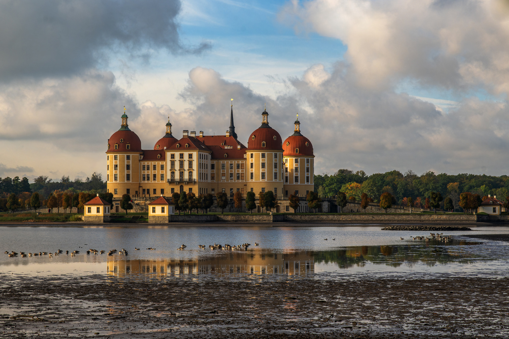  Schloss Moritzburg