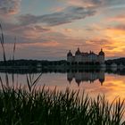 Schloss Moritzburg