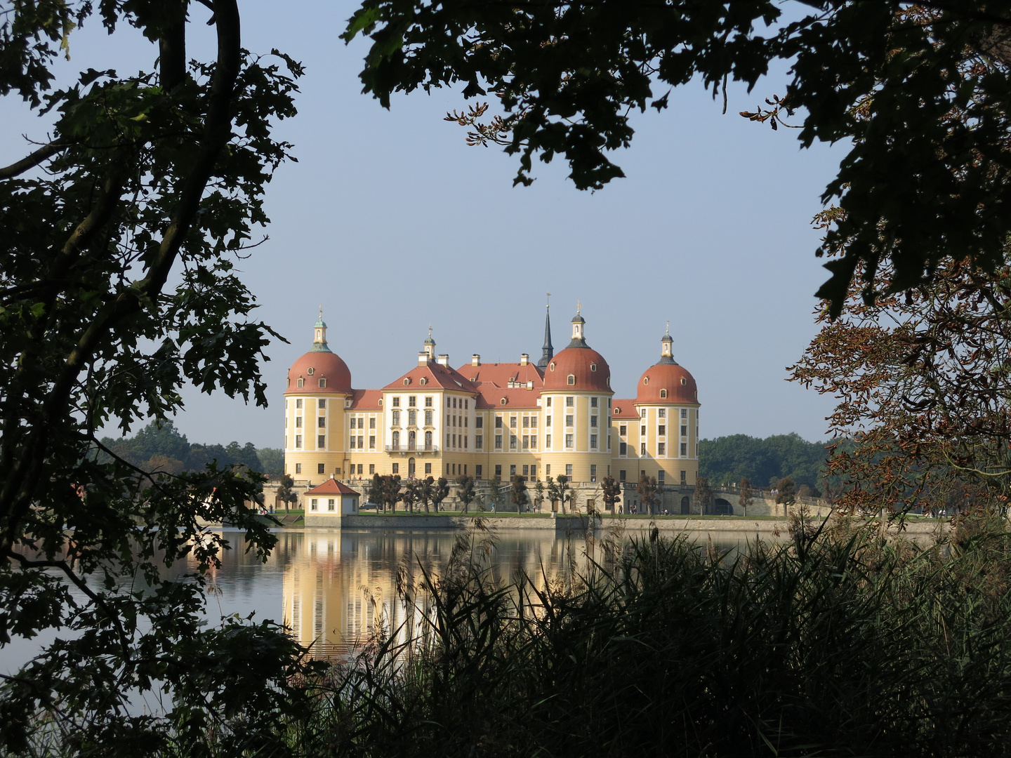 Schloss Moritzburg