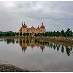 Schloss Moritzburg - gespiegelt im strömenden Regen