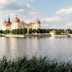 Schloss Moritzburg HDR