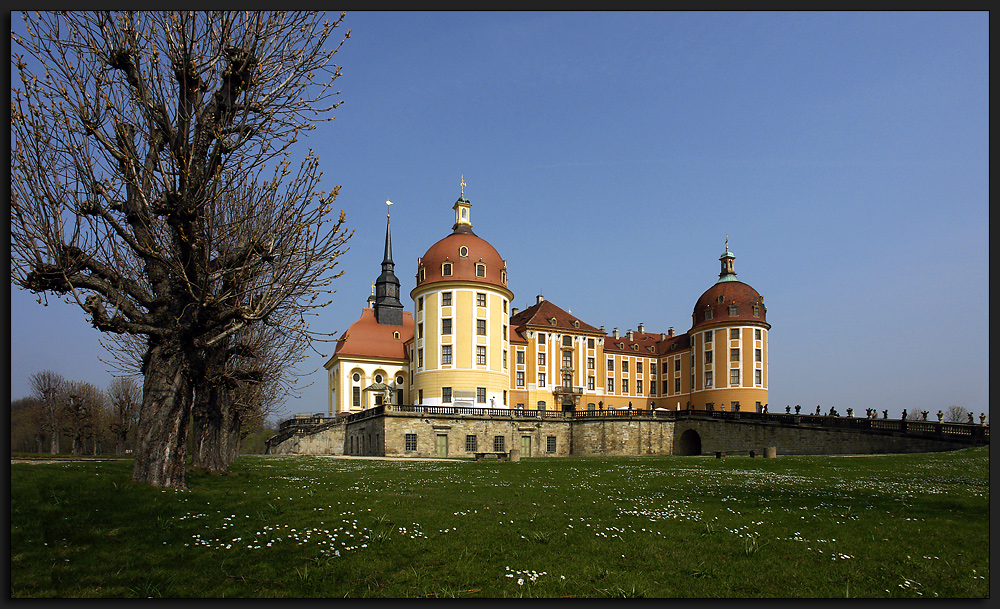 Schloss Moritzburg I