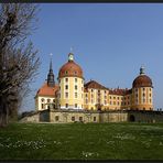 Schloss Moritzburg I