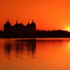 ***Schloss Moritzburg I***