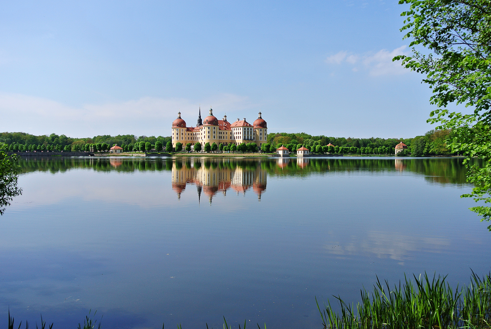 Schloss Moritzburg II