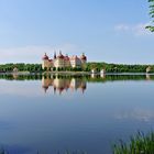 Schloss Moritzburg II