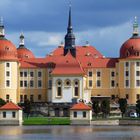 Schloss Moritzburg II