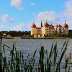 Schloss Moritzburg II