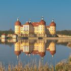 Schloss Moritzburg II