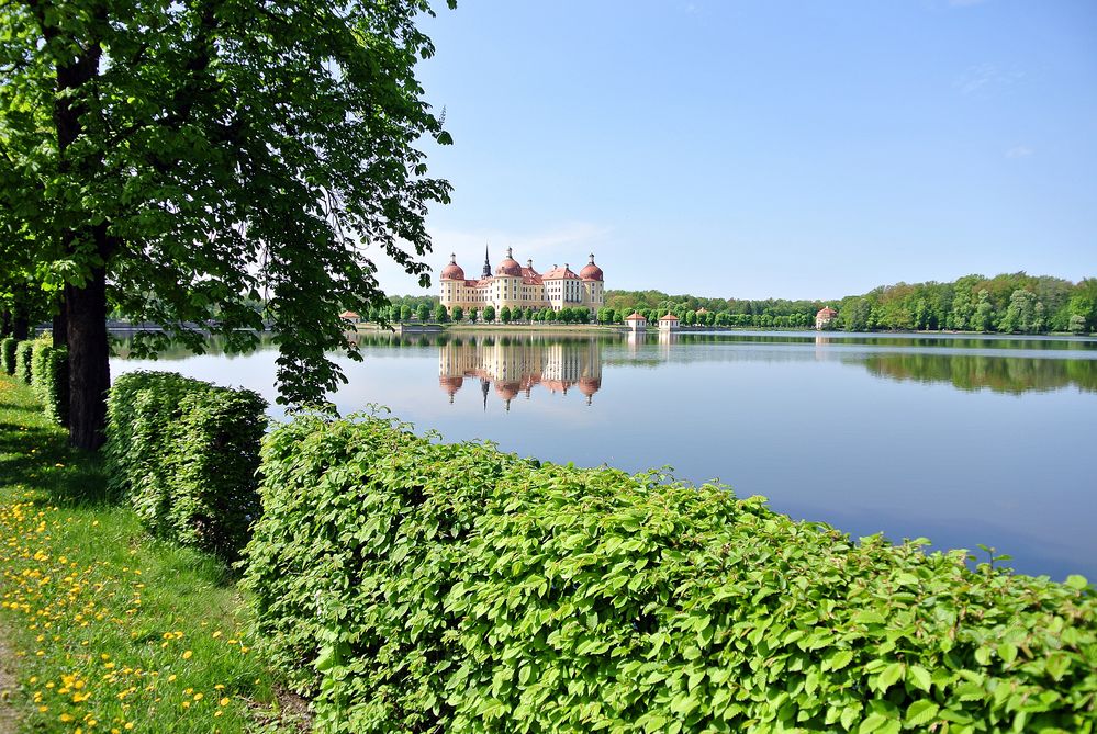 Schloss Moritzburg III