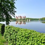 Schloss Moritzburg III