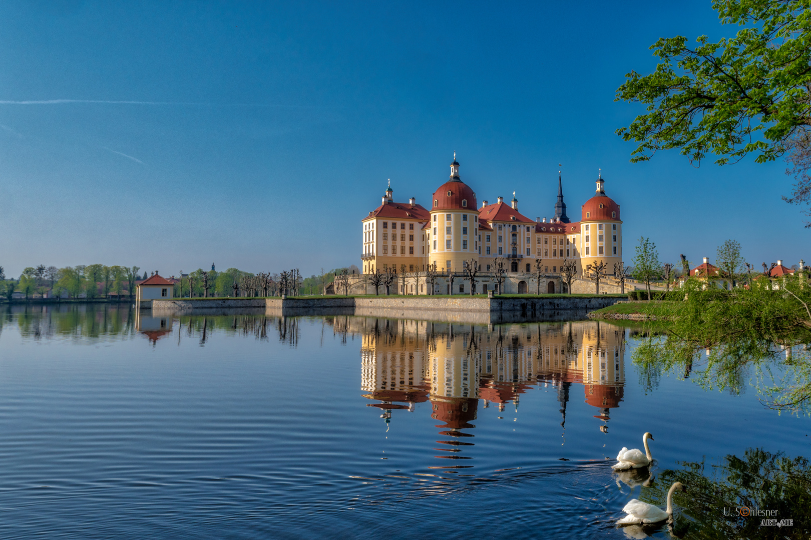 Schloss Moritzburg III