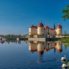 Schloss Moritzburg III