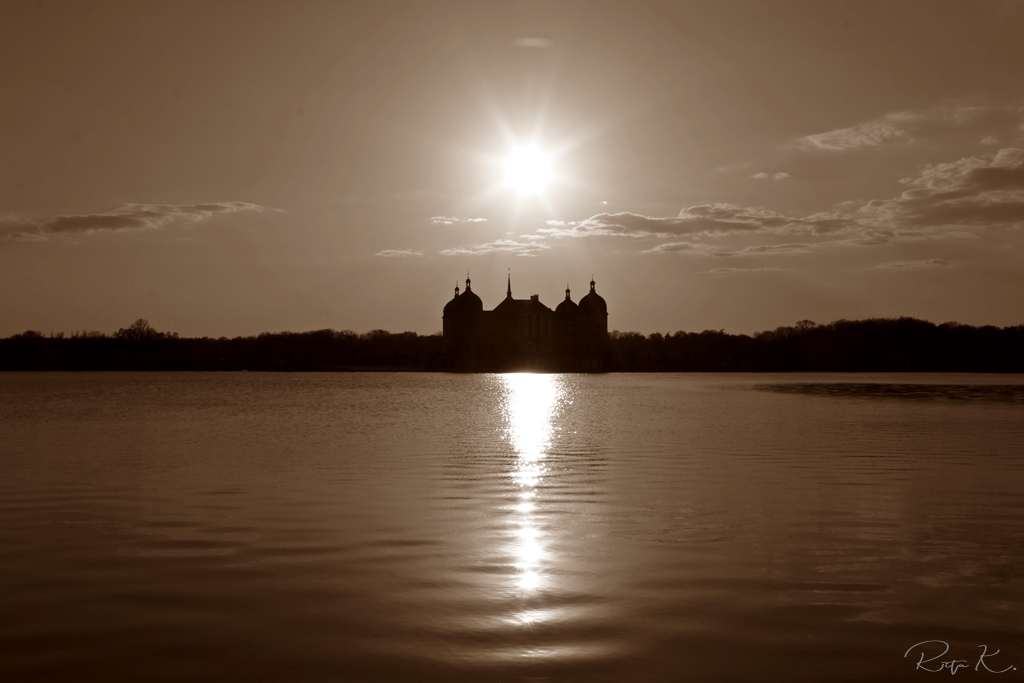 ****Schloss Moritzburg III****