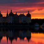 ~ Schloss Moritzburg im Abendlicht ~