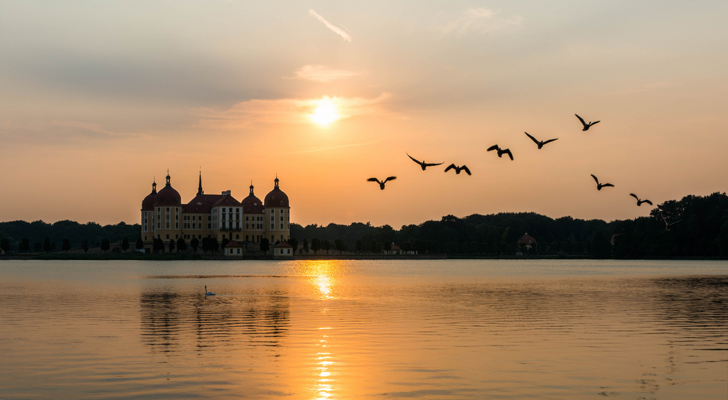 Schloss Moritzburg im Abendlicht