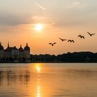 Schloss Moritzburg im Abendlicht