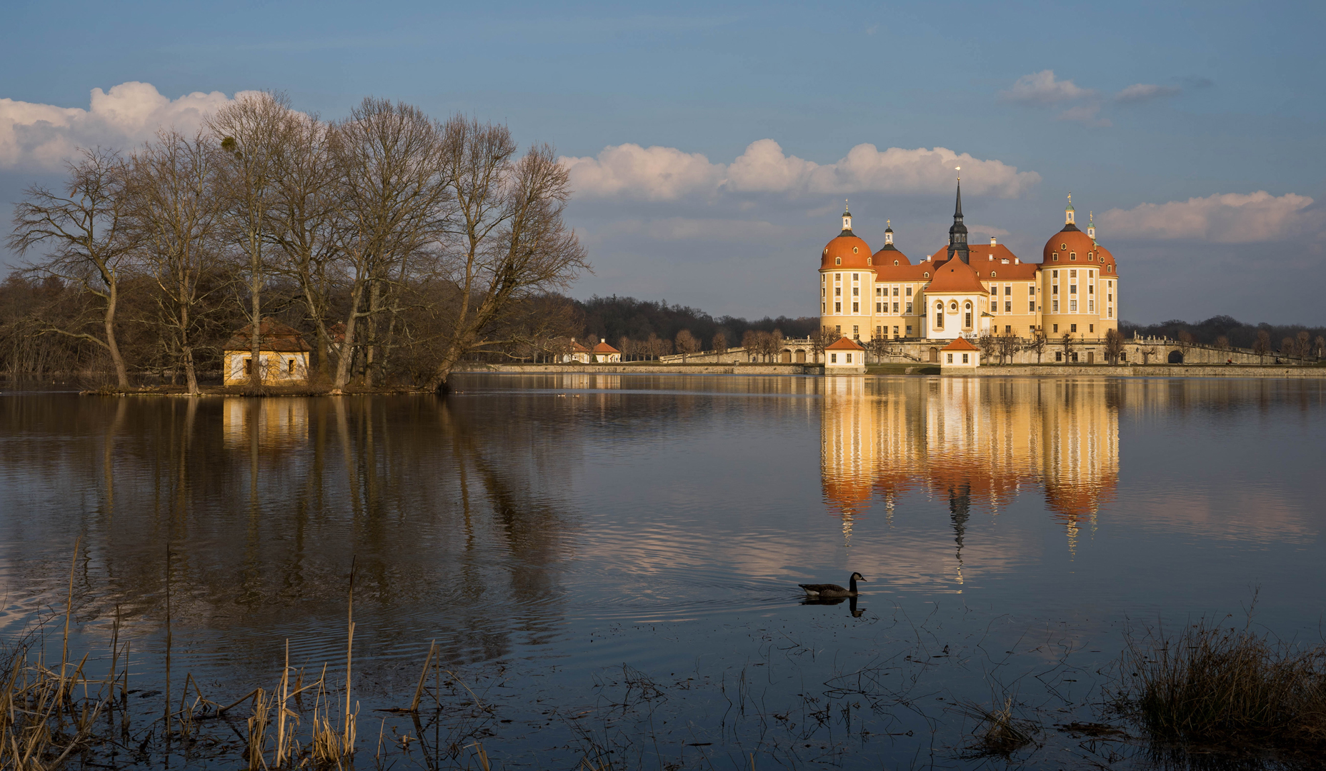 Schloss Moritzburg im Abendlicht