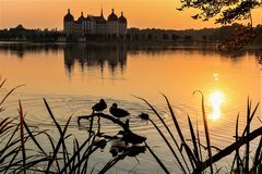 Schloss Moritzburg im Abendlicht