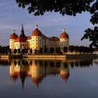 Schloss Moritzburg (Impression 1)