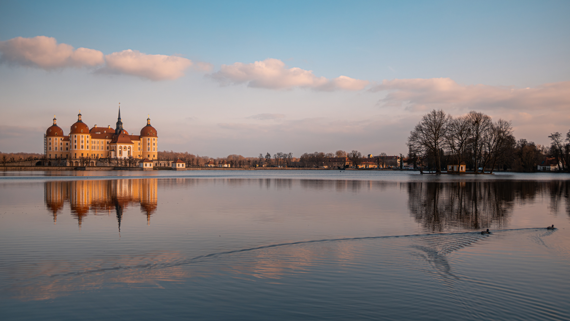 Schloß Moritzburg in Sachsen