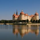 Schloss Moritzburg in Sachsen