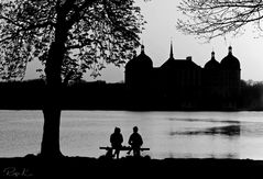 ***Schloss Moritzburg IV***