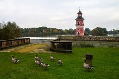 Schloss Moritzburg, Leuchtturm und Gänse