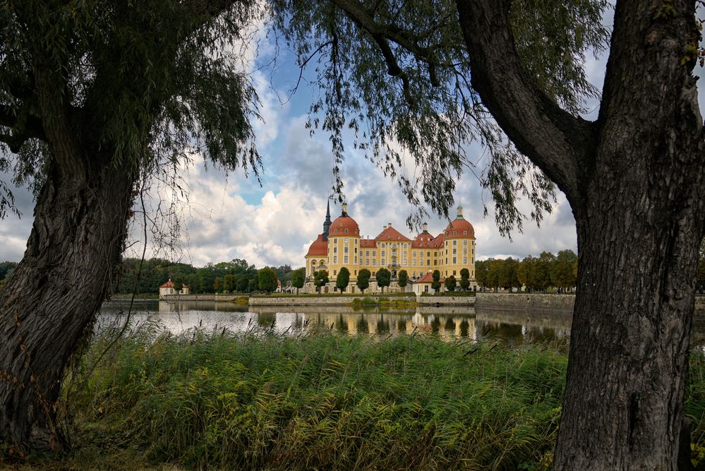 Schloss Moritzburg - Meißen -