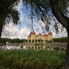 Schloss Moritzburg - Meißen -