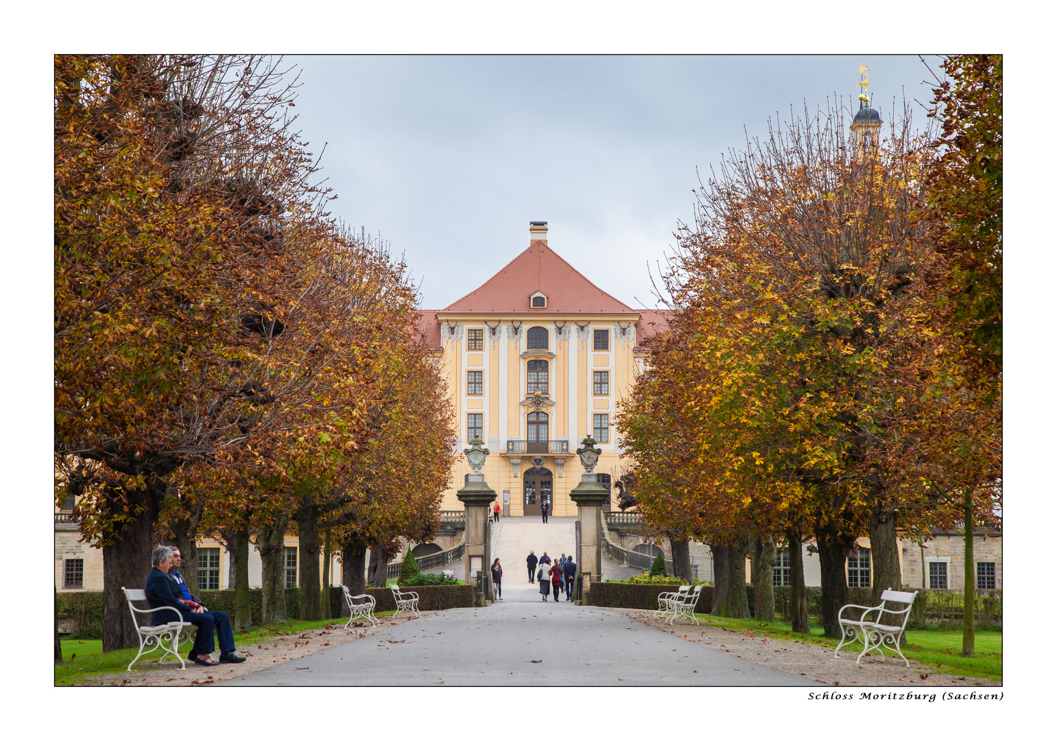 Schloss Moritzburg mit Allee