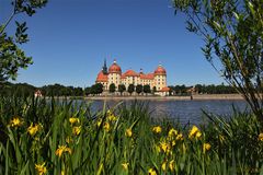 Schloss Moritzburg mit Wasserlilien