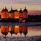 Schloss Moritzburg nach dem Abfischen