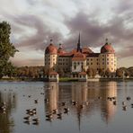 Schloss Moritzburg -Nr.2 