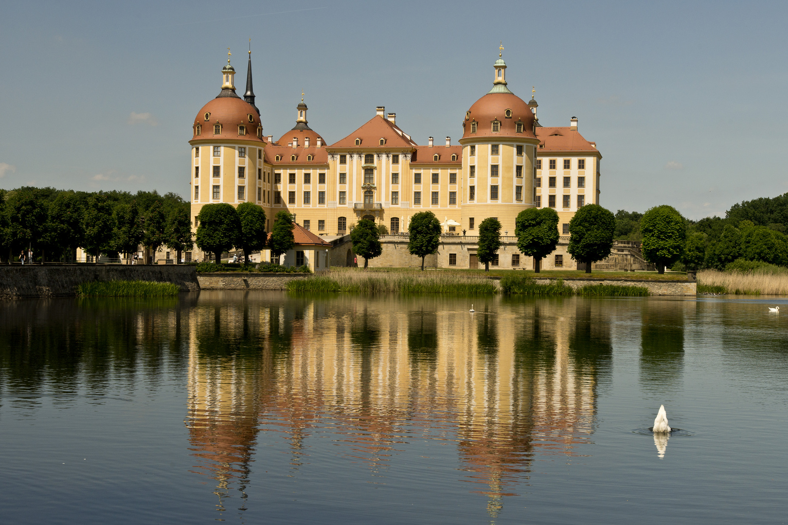 Schloss Moritzburg (Sachsen) 3