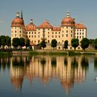 Schloss Moritzburg (Sachsen) 3