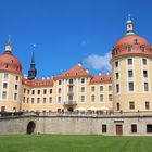 Schloss Moritzburg (Sachsen)