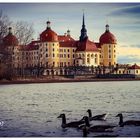 Schloß Moritzburg, Sachsen