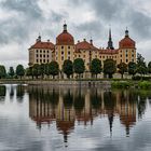 Schloss Moritzburg (Sachsen)