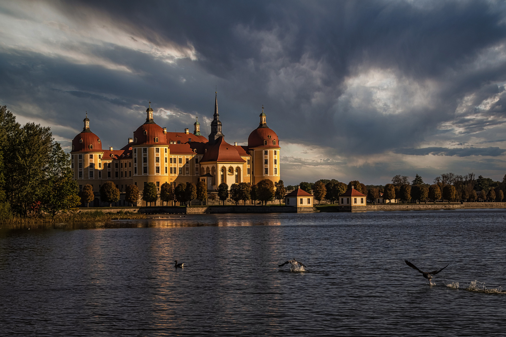 Schloss Moritzburg (Sachsen) 