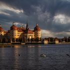 Schloss Moritzburg (Sachsen) 