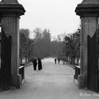 Schloss Moritzburg - Schlosspark