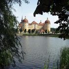 Schloß Moritzburg-Sommer