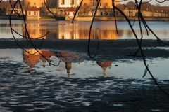 Schloss Moritzburg spiegelt sich in der Abendsonne