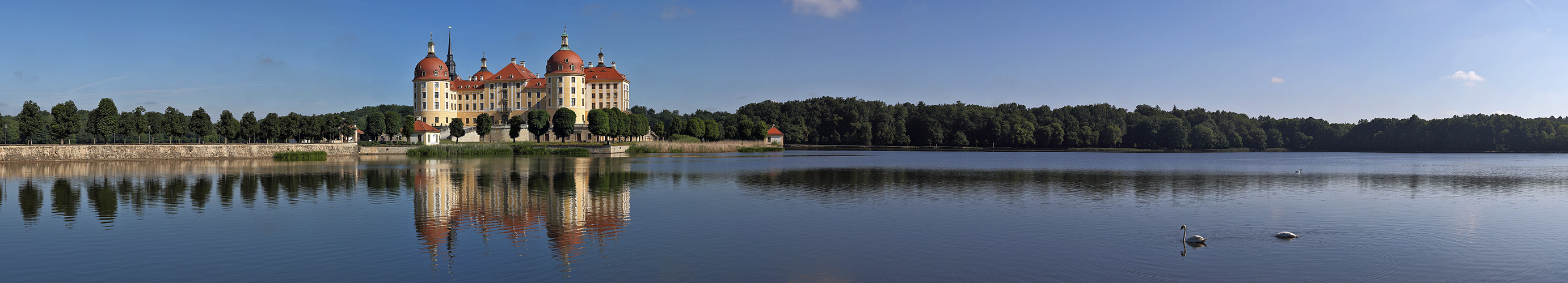 Schloss Moritzburg und die Schwäne