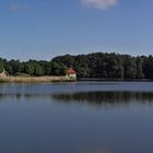 Schloss Moritzburg und die Schwäne