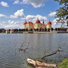 Schloß Moritzburg und  eine schöne Umgebung gehört auch dazu...