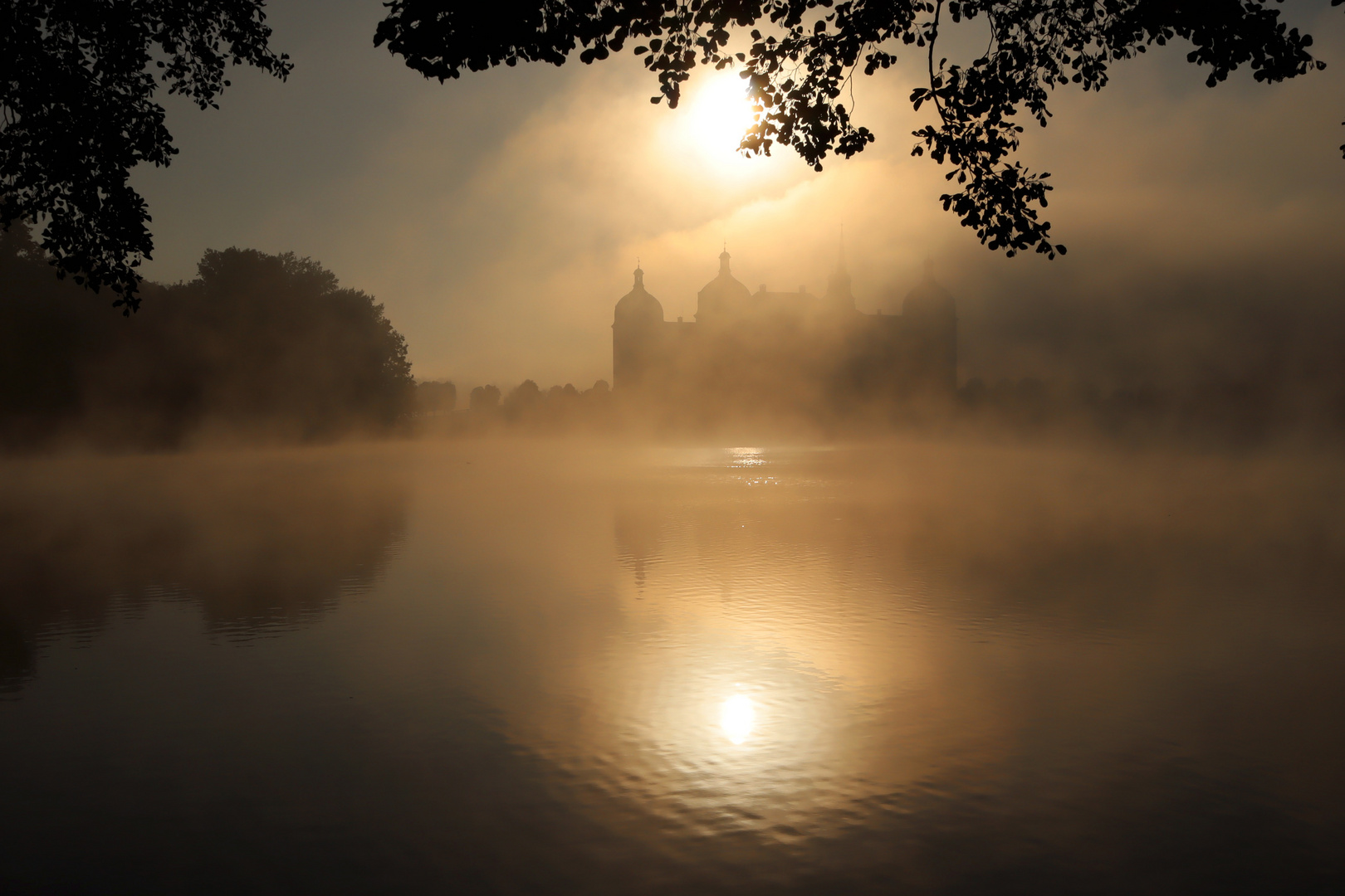 Schloß Moritzburg, vernebelt