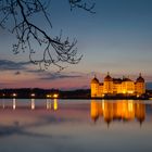 Schloss Moritzburg zur blauen Stunde