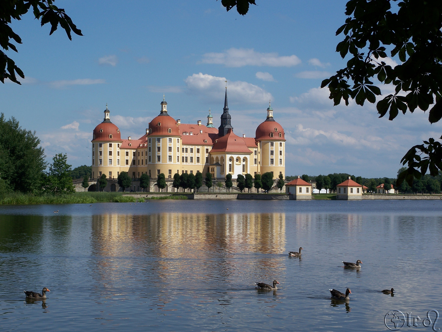 Schloss Moritzburg03